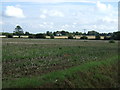 Stubble field west of Mendlesham