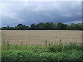 Stubble field near Mendlesham