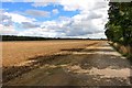 Farmland near Ardley