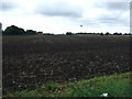 Field east of Saxmundham