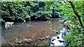 River Tame in Haughton Dale