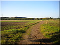 Track to Hennymoor Farm