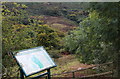 Silent Valley Local Nature Reserve, Cwm