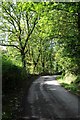 Country road west of Cynghordy