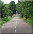 Country road near Meldon