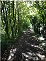 Haslingfield Footpath