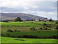 Farmland west of Kellah