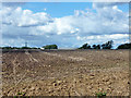 Ploughed field west of Roman Road