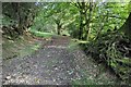 Track and footpath at Hafod Tafolog