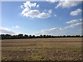 Harlton footpath view