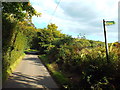 Plough Lane, near Sarratt