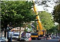 Crane, Dublin Road, Belfast (September 2015)