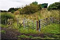 Fordell Path Gate