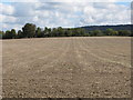 SU7398 : Ploughed and seeded field, Aston Rowant by David Hawgood