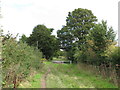 Ridgeway bridleway crosses Kingston Hill road