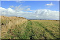 SH3369 : The Anglesey Coastal Path at Plas Llangwyfan. by Jeff Buck