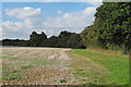 Footpath along arable field margin near Sprott