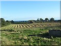 Hay making on the former site of RAF Kilkeel