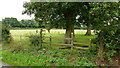 Two footpaths from the same stile