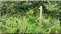 Overgrown stile by Broadhay Road