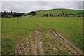 Farmland north of Mass--troyddyn-fawr