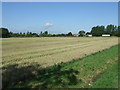 Stubble field off Finningham Road (B1113)