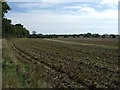 Farmland of Mill Street