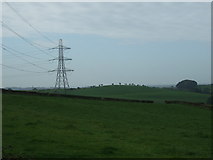 SD5066 : Grazing and pylon off Scargill Road by JThomas