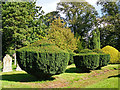 NY3750 : Yew bushes, Dalston Cemetery by Rose and Trev Clough