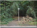 Public footpath on Chipperfield Common