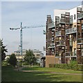 The Gallery flats and a crane at CB1