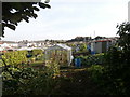 Allotments, Nelson