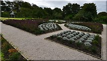 SW8458 : Trerice: The Elizabethan Knot Garden and Orchard by Michael Garlick