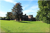 NS6859 : Bothwell Castle by Billy McCrorie