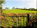 Letterboy Townland