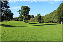 NS6859 : Bothwell Castle Grounds by Billy McCrorie