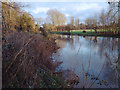 SP2965 : River Avon by Emscote Gardens, Warwick 2015, January 13, 15:16 by Robin Stott