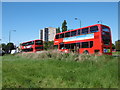 Buses at Whipps Cross Roundabout