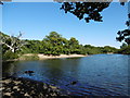 Hollow Pond on Leyton Flats