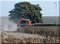 Harvesting - Garswood