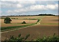 TL5243 : Chalk hills and a farm track by John Sutton