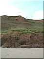 Soft clay cliffs near Hunmanby Gap