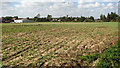 Crop field soon to be a construction site