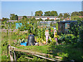 Allotments, Shepperton