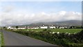 The Derryhea Park housing estate off the Quarter Road