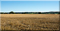 Stubble field on south side of Wallish Walls Road