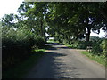 Minor road towards Beesby