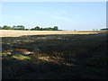 Stubble field near Trout Farm