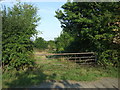 Field entrance near Muckton Bottom