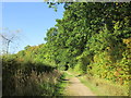 Bridleway to Firbeck